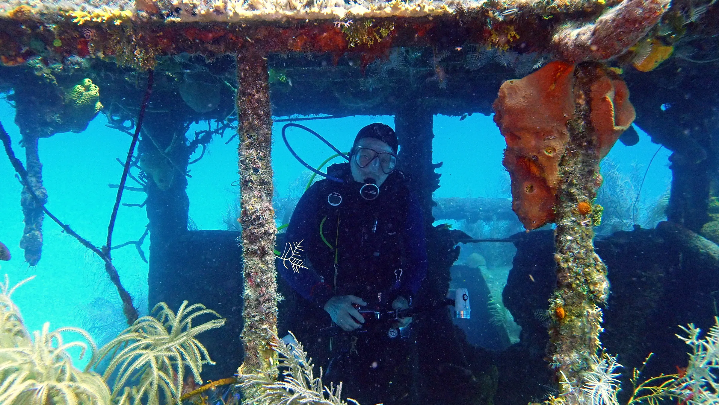Cayman Islands underwater photograph, 2019