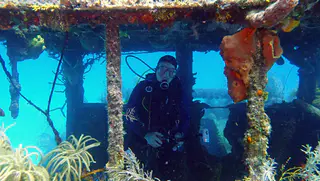 Underwater photograph by Joel Bergsma