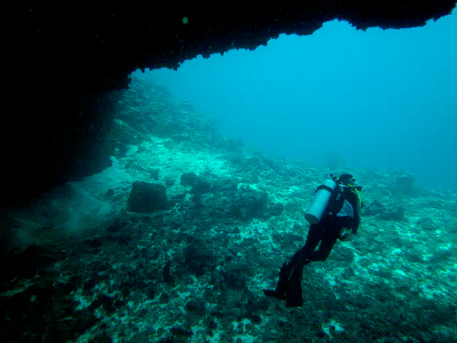 Passing under the Coral Bridge.