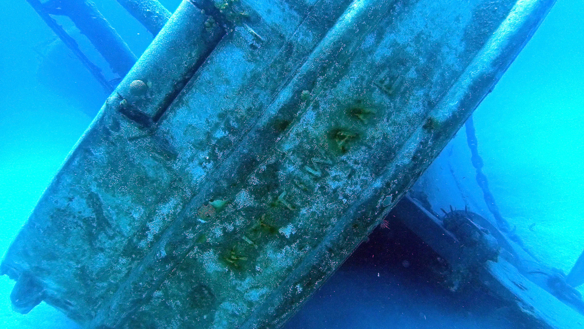 Cayman Islands underwater photograph, 2019