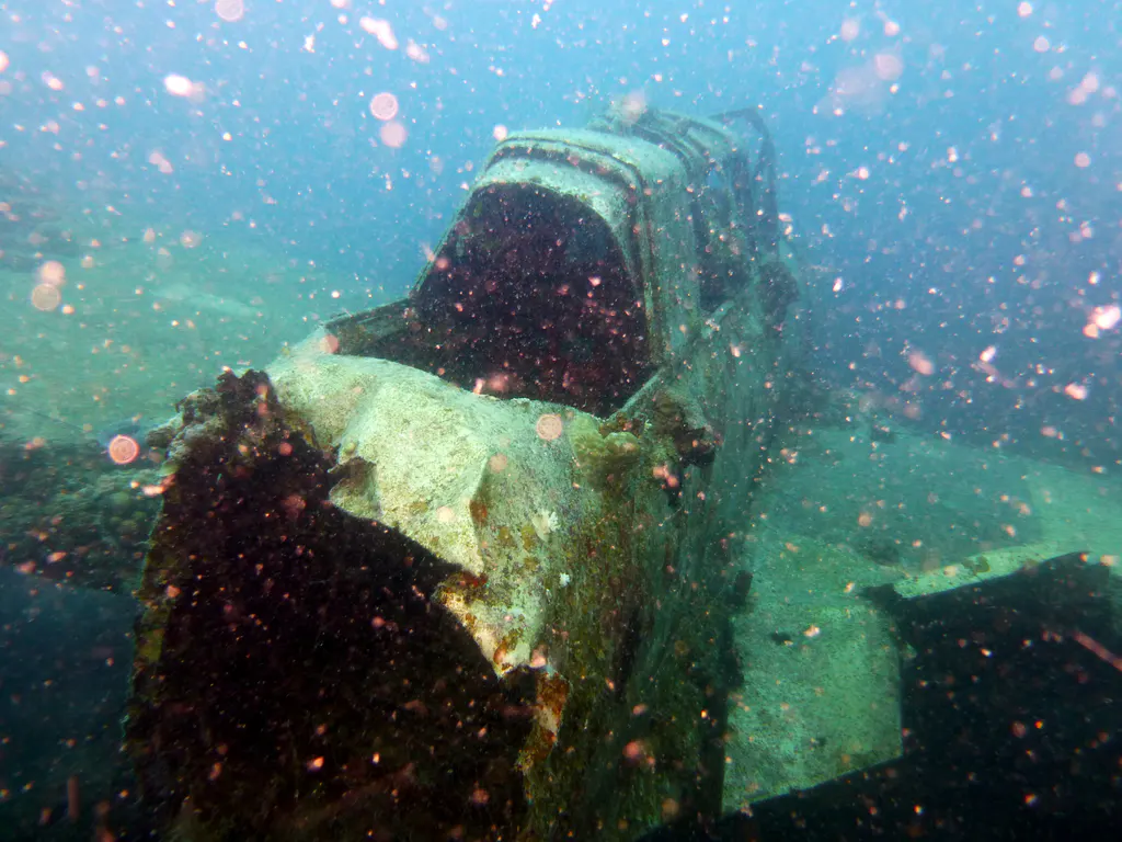 Underwater photograph by Joel Bergsma