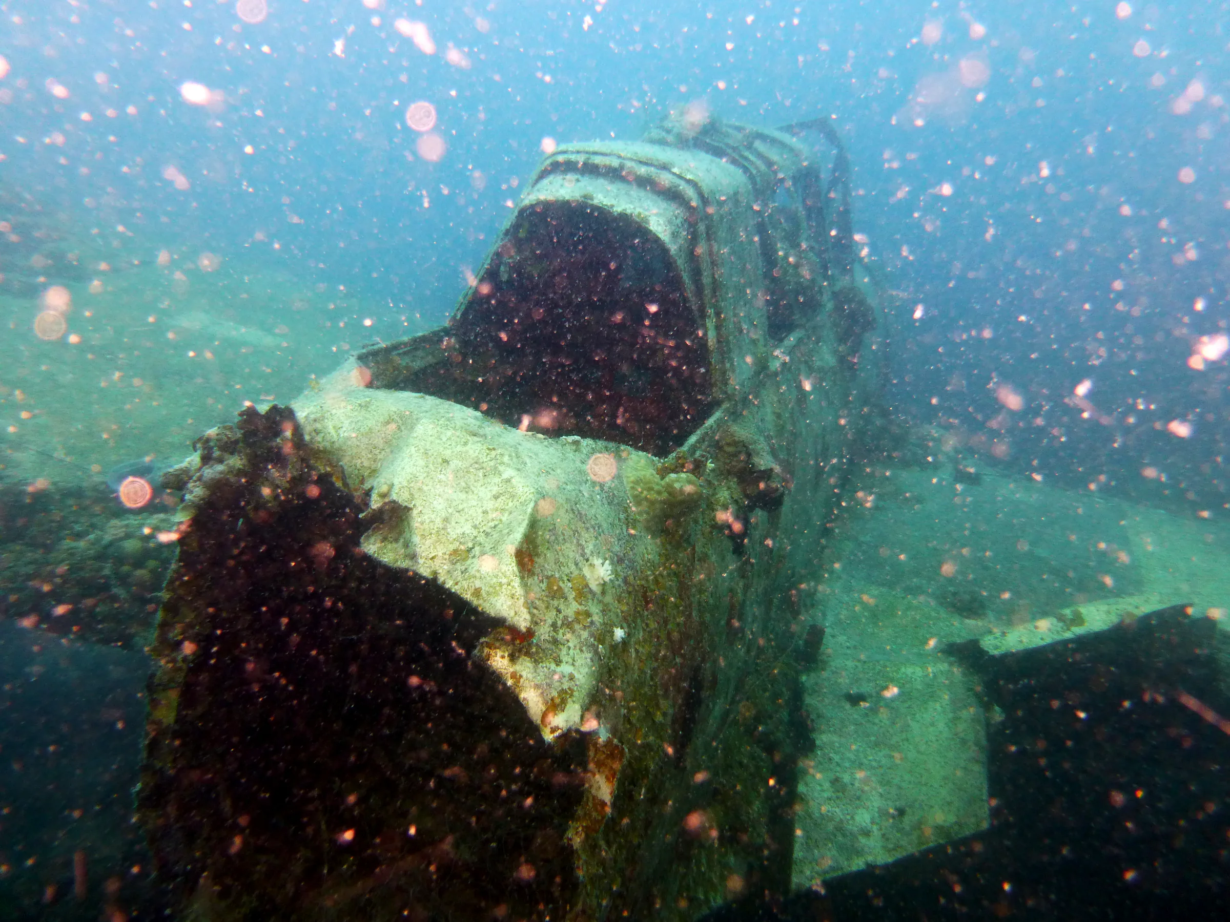 Palau underwater photograph, 2013