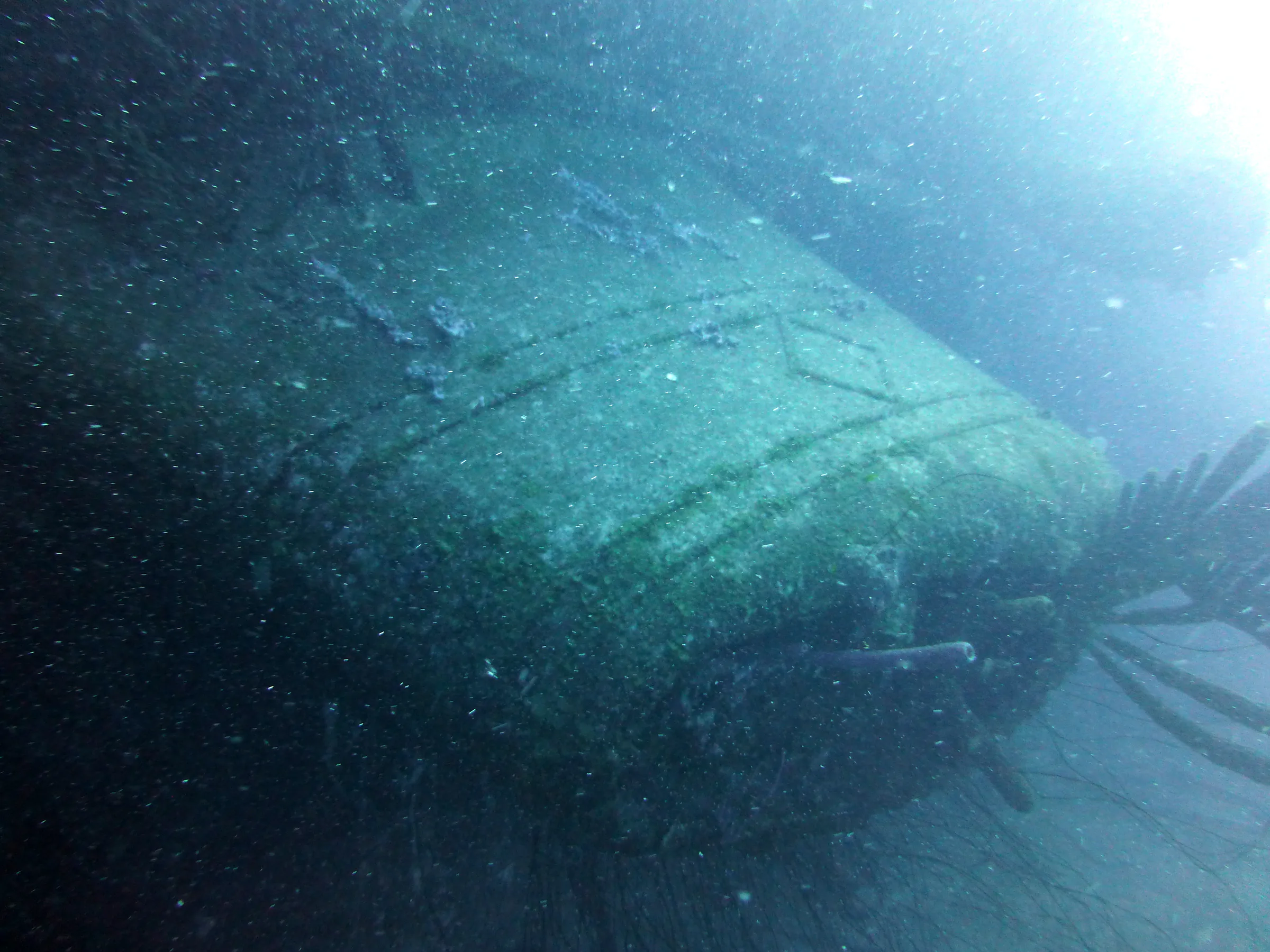 Bonaire underwater photograph, 2013