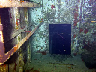 Underwater photograph by Joel Bergsma