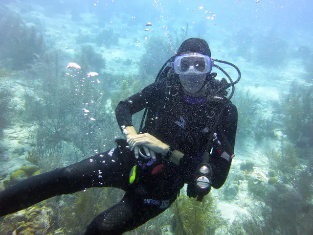 Underwater photograph by Joel Bergsma