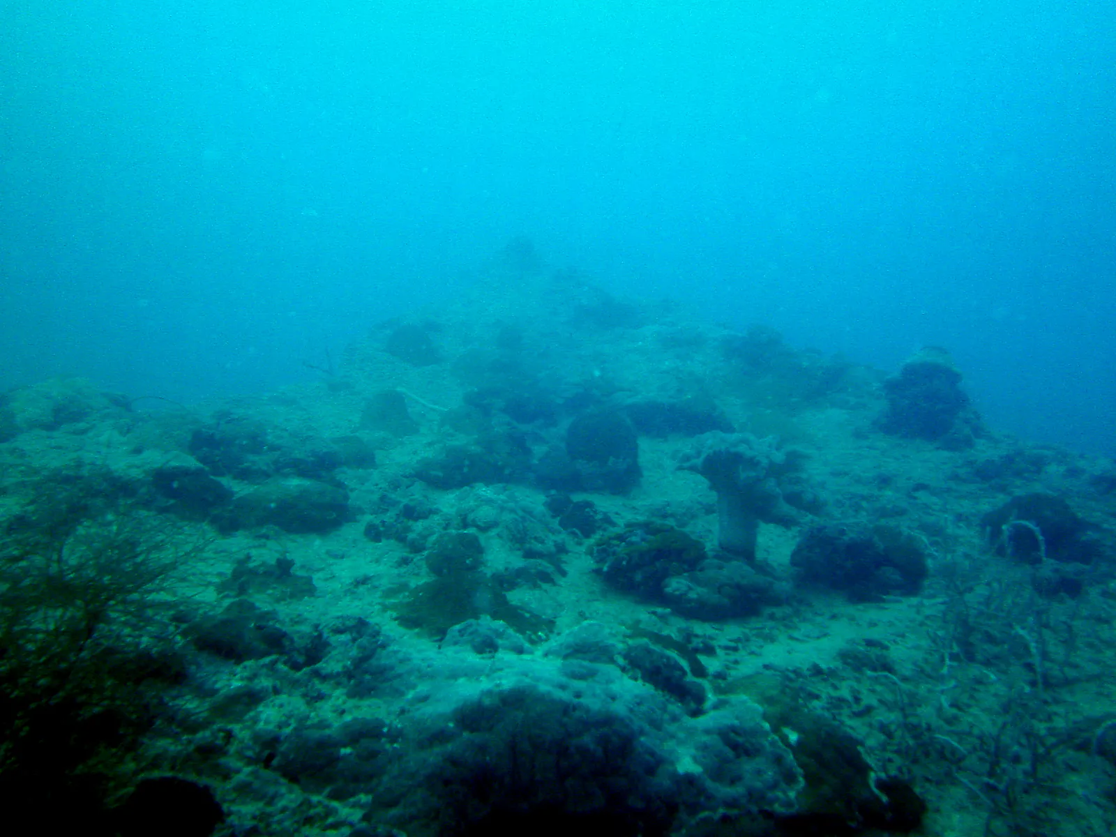 Looking toward the Bow of the Japanese LST wreck, which lies upside down in two large pieces and some smaller items.  The LST is a "292-foot long Japanese landing ship, designed to carry landing crafts, tanks, midget submarines, cargo and troops. Lies at 20m/66ft to 30m/99ft."