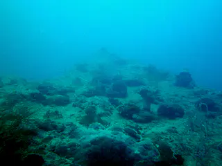Looking toward the Bow of the Japanese LST wreck, which lies upside down in two large pieces and some smaller items. The LST is a "292-foot long Japanese landing ship, designed to carry landing crafts, tanks, midget submarines, cargo and troops. Lies at 20m/66ft to 30m/99ft."