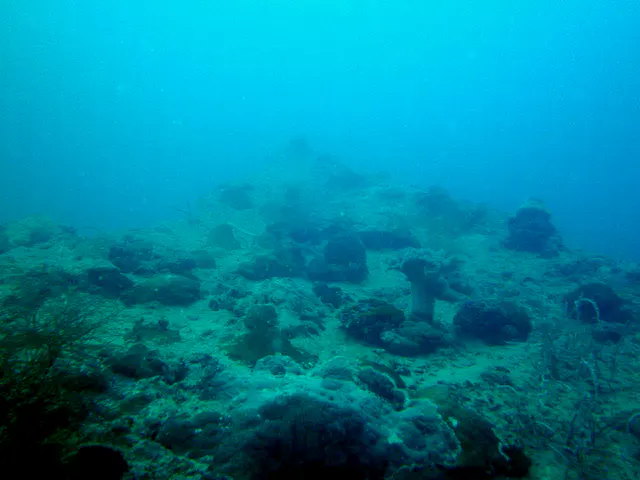 Looking toward the Bow of the Japanese LST wreck, which lies upside down in two large pieces and some smaller items.  The LST is a "292-foot long Japanese landing ship, designed to carry landing crafts, tanks, midget submarines, cargo and troops. Lies at 20m/66ft to 30m/99ft."