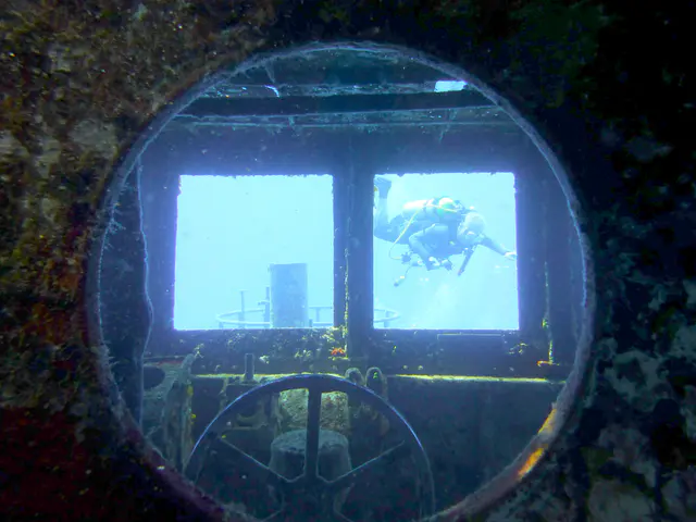Underwater photograph by Joel Bergsma