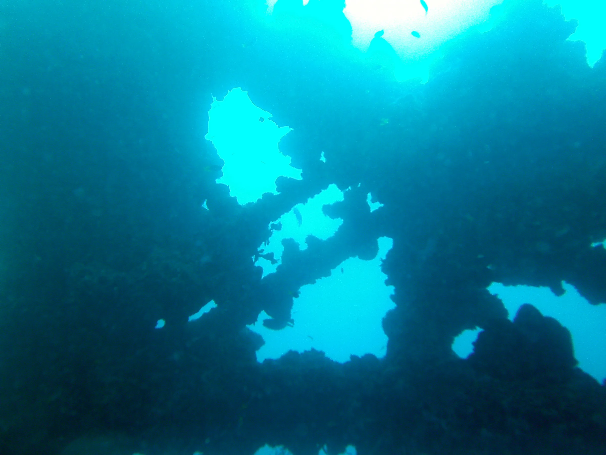 Wreckage of the WWII Wreck Nagisan Maru.