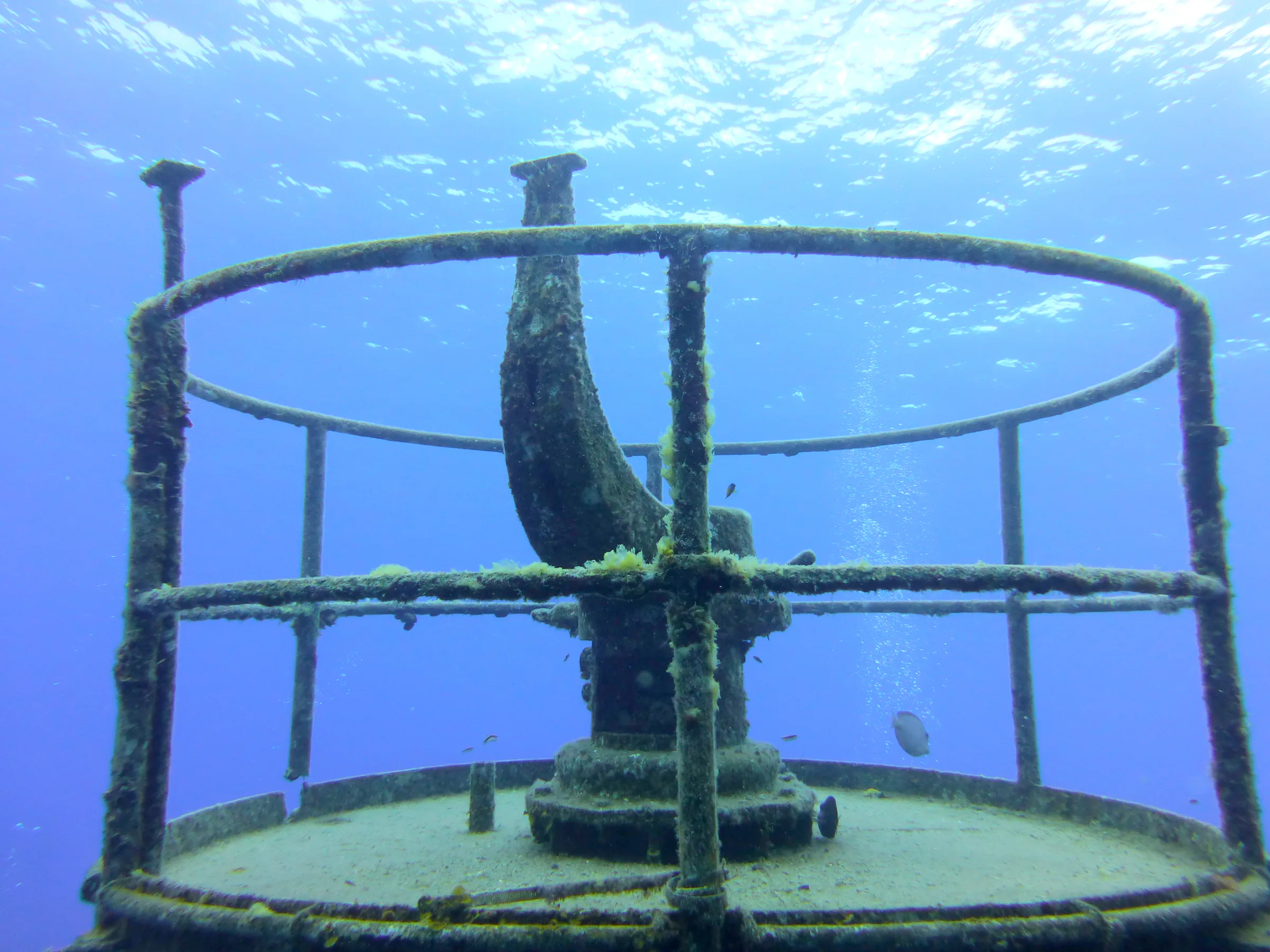 Cayman Islands underwater photograph, 2014