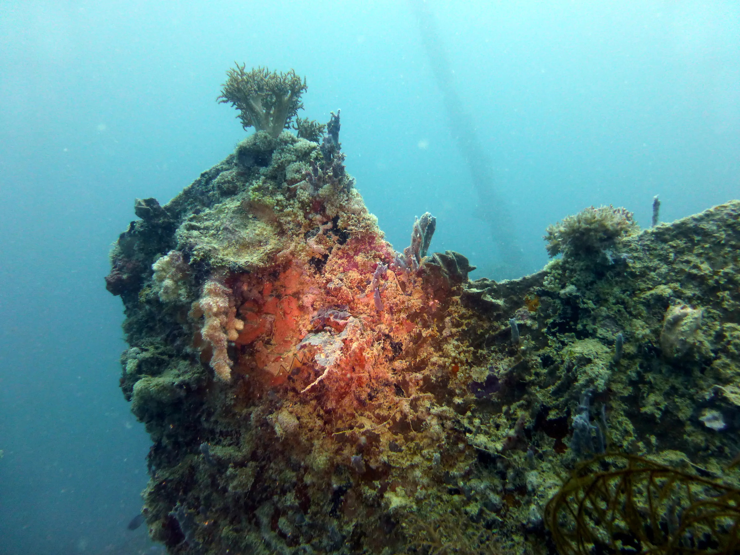 Palau underwater photograph, 2013