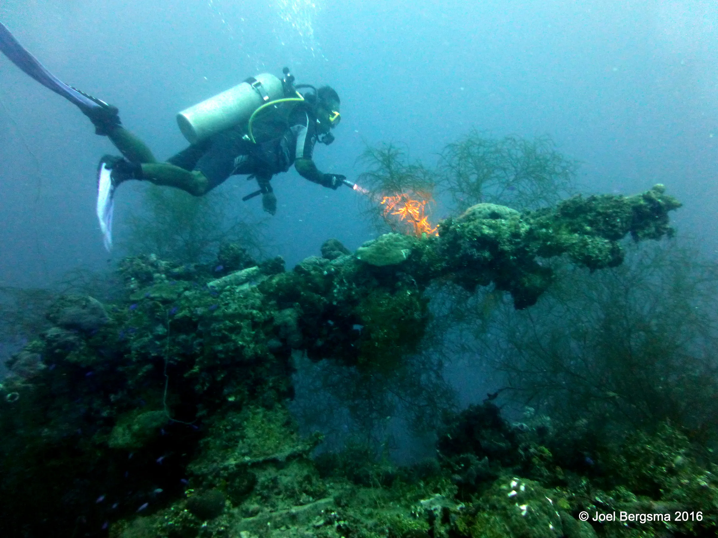 Chuuk Lagoon underwater photograph, 2016
