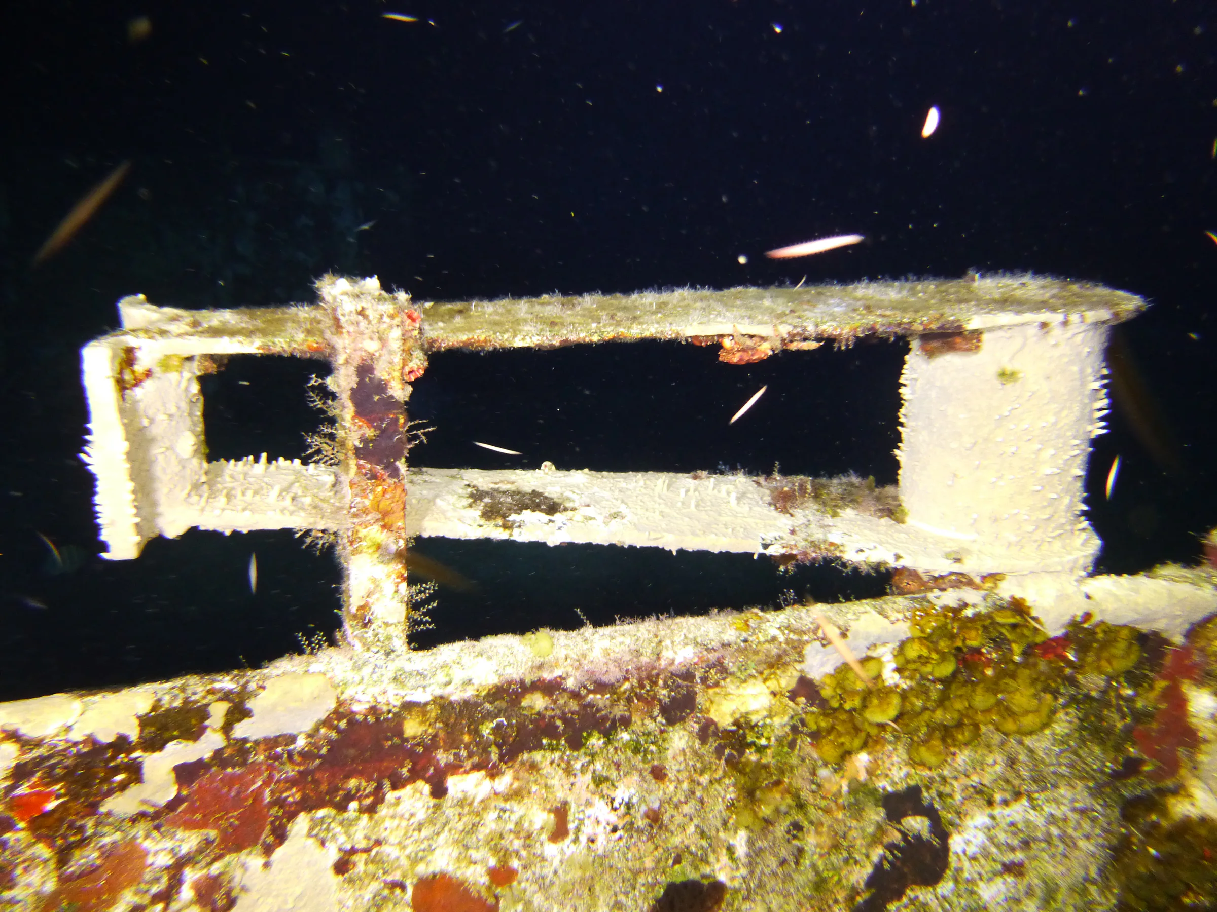 Cayman Islands underwater photograph, 2014