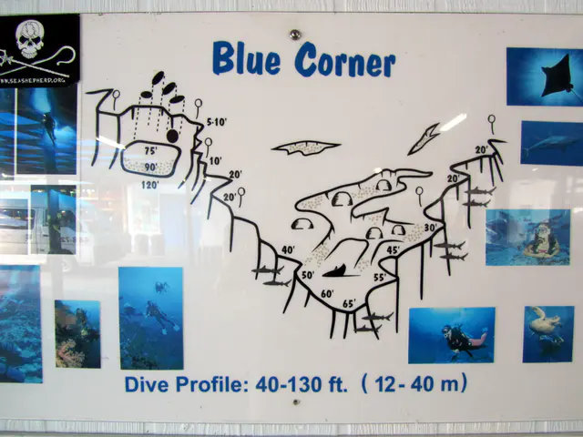 Blue Corner divesite map located at Sam's Tours.  On the upper right of the map are shown the four blue holes leading through the reef to a subway stop sized cavern whose large exit is between 75' and 90' deep.  When we dive the blue holes, we exit the cavern at this depth and then drift and swim along the vertical wall toward the tip of the blue corner (where the top of the reef is 65' deep).