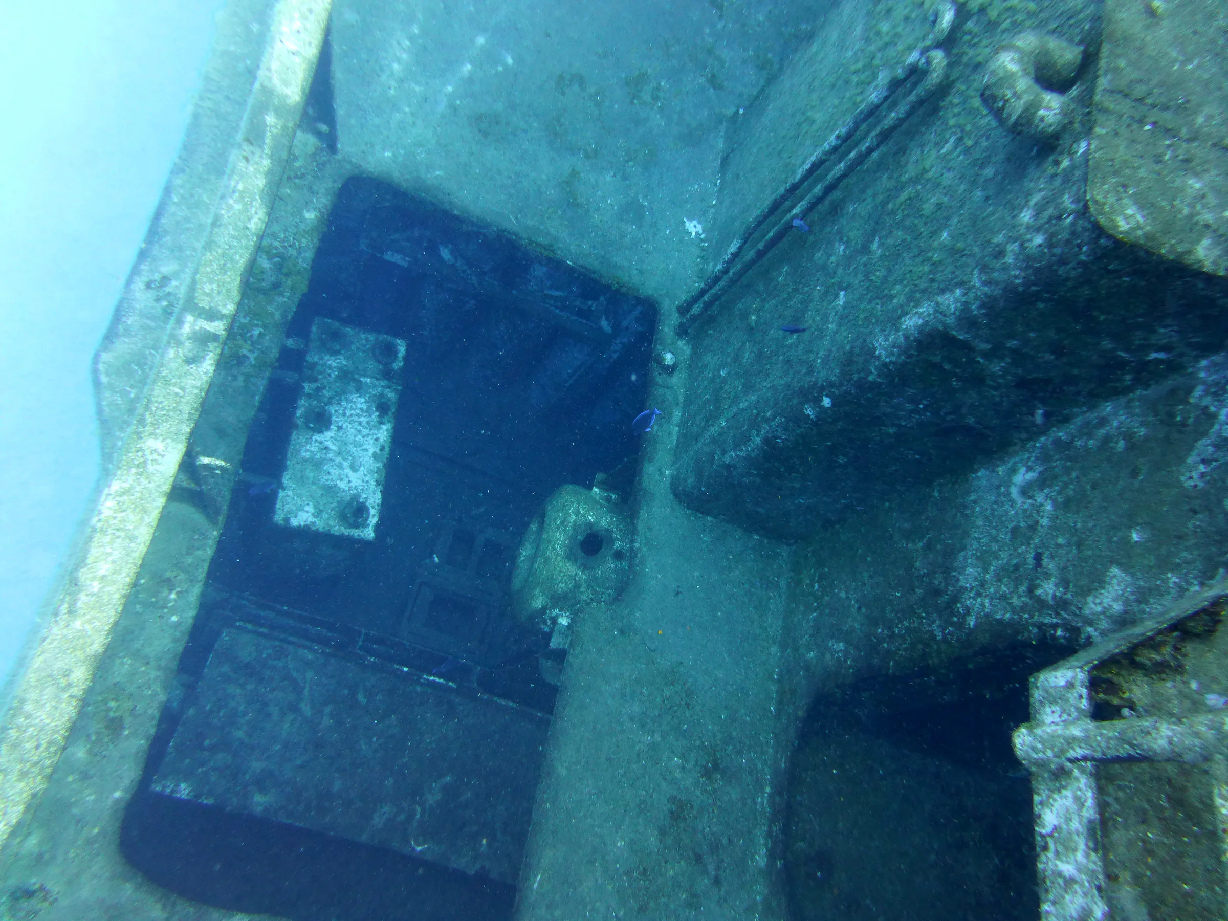 Cayman Islands underwater photograph, 2014