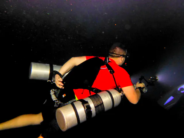Underwater photograph by Joel Bergsma
