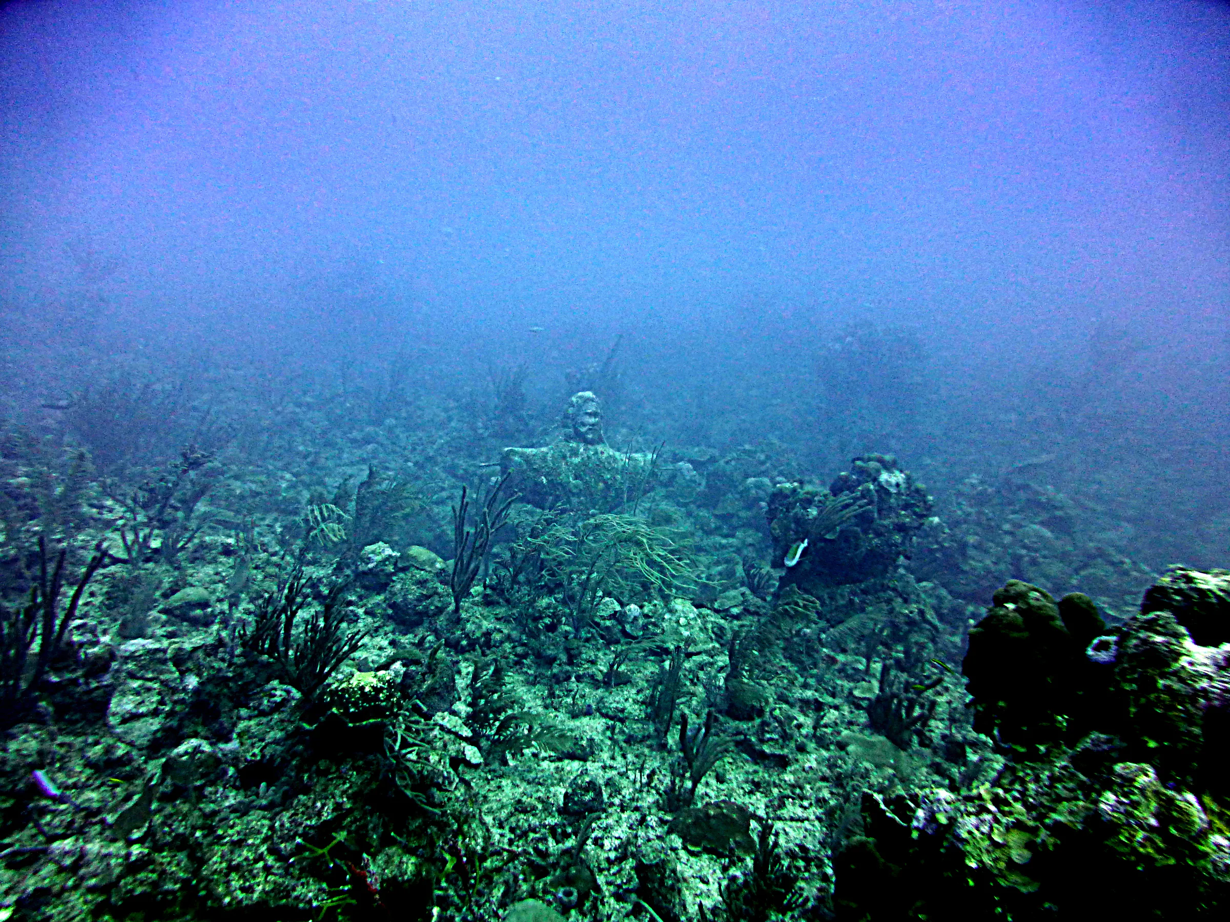 Belize underwater photograph, 2017