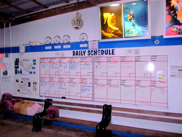 Daily Boat Schedule at Sam's Tours. 2011-01-14.