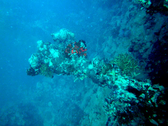 An anti-aircraft gun (perhaps) rises from the wreck's deck.
