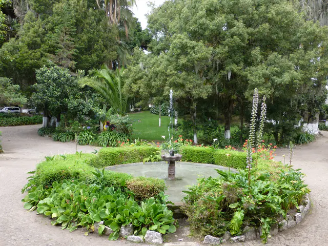 The beautiful green grounds at the entryway to the Hosteria Hacienda Pinsaqui, Otavalo.