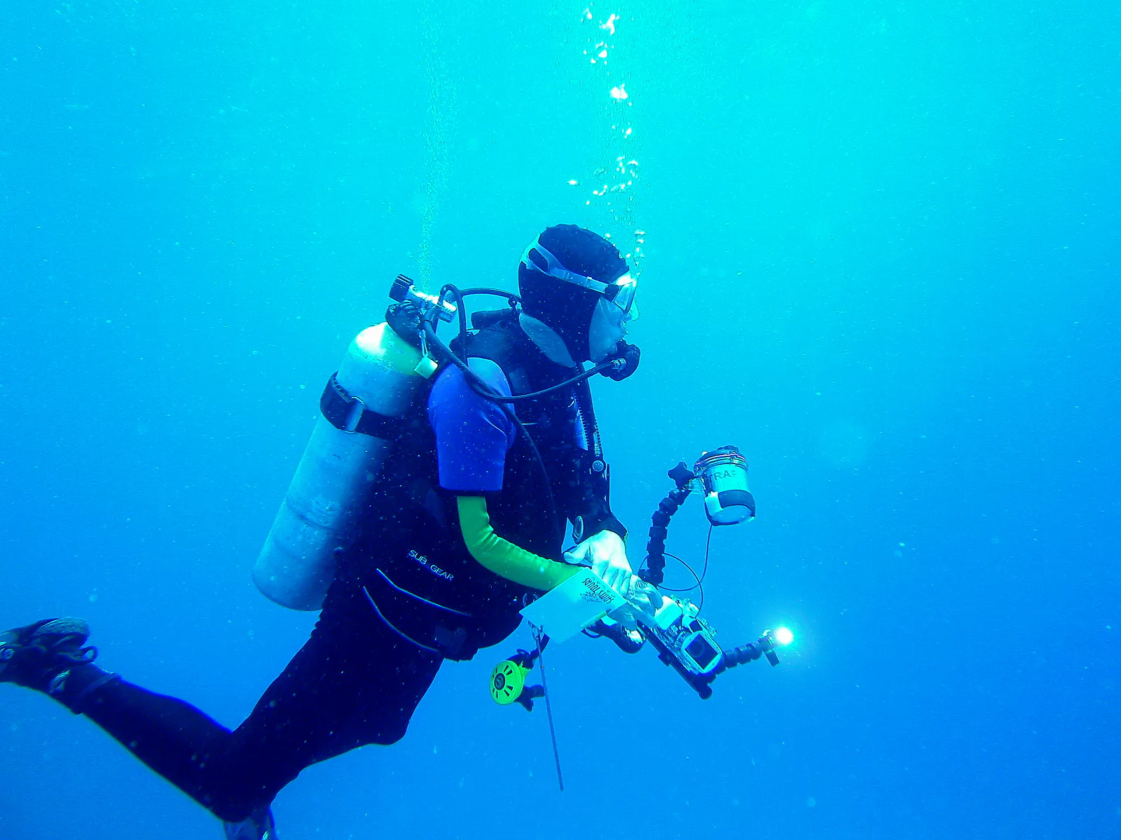 Dive buddyfish.