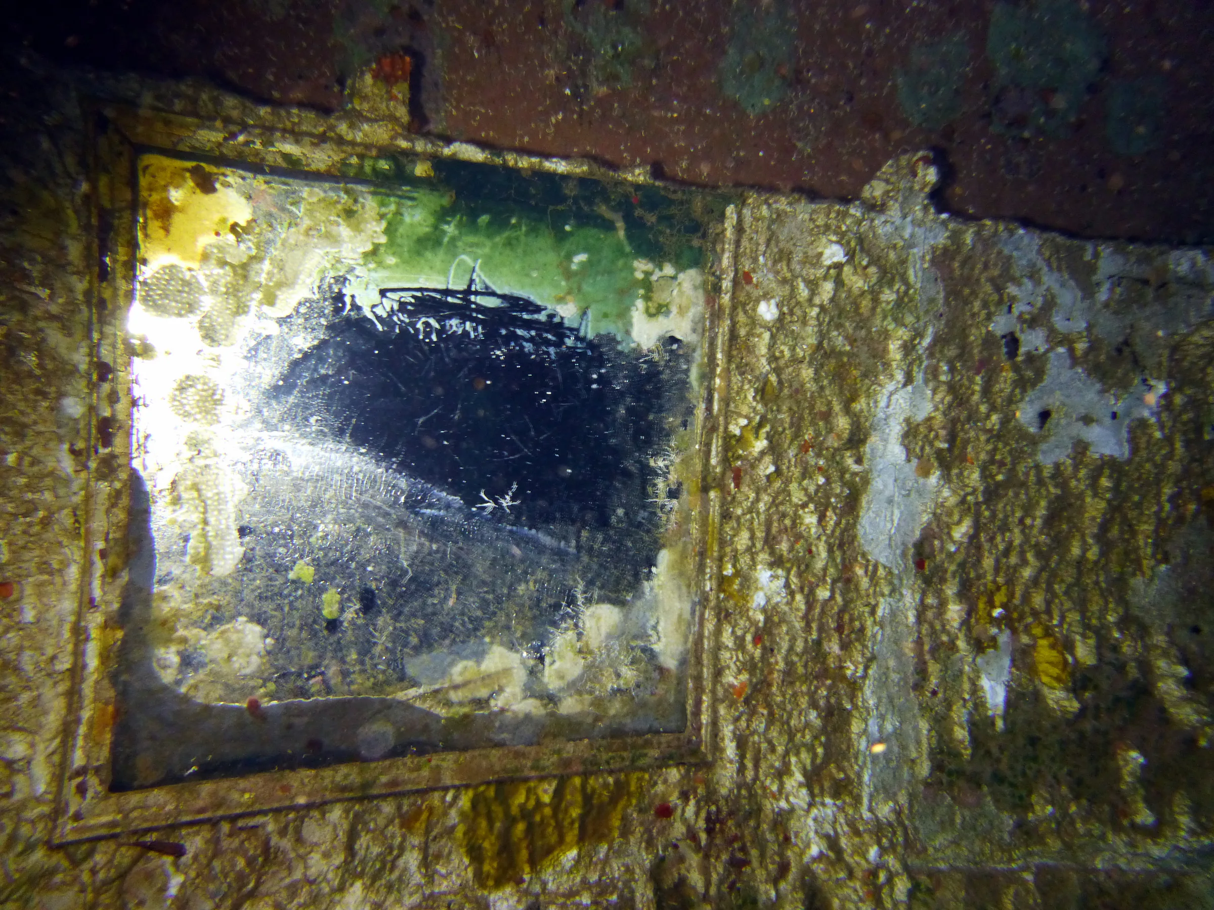 Cayman Islands underwater photograph, 2014