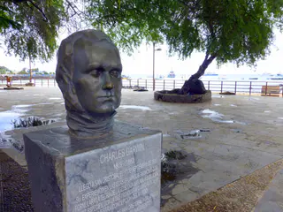 Charles Darwin Bust (1809 - 1882).