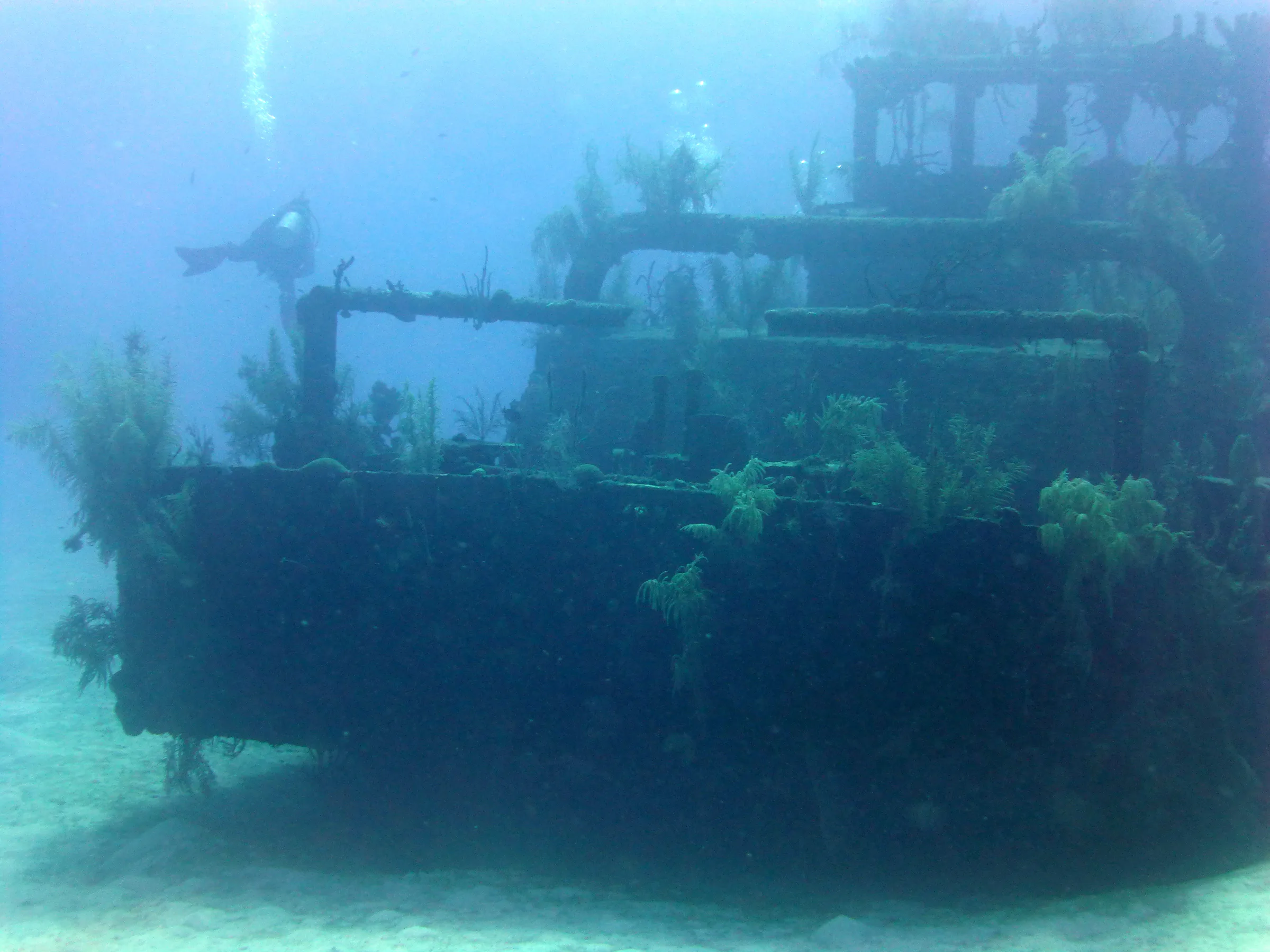 Cayman Islands underwater photograph, 2014