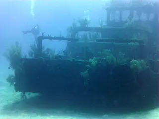 Underwater photograph by Joel Bergsma