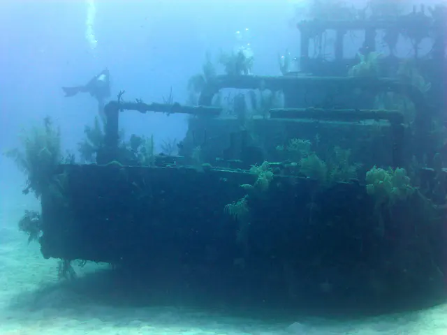 Underwater photograph by Joel Bergsma