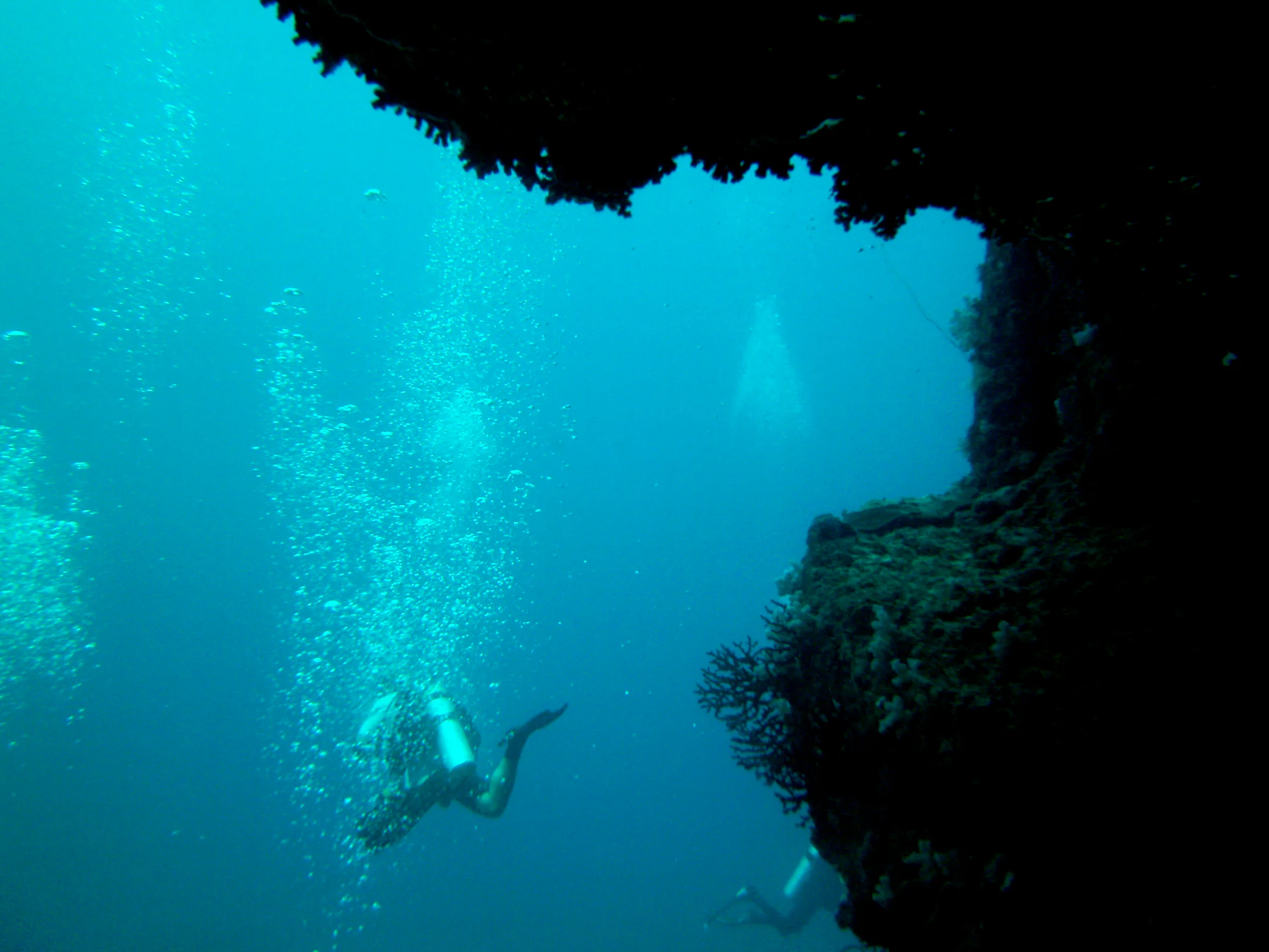 Divers continue their dive along the reef wall immediately to the right of the Coral Bridge.