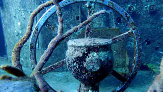 Underwater photograph by Joel Bergsma