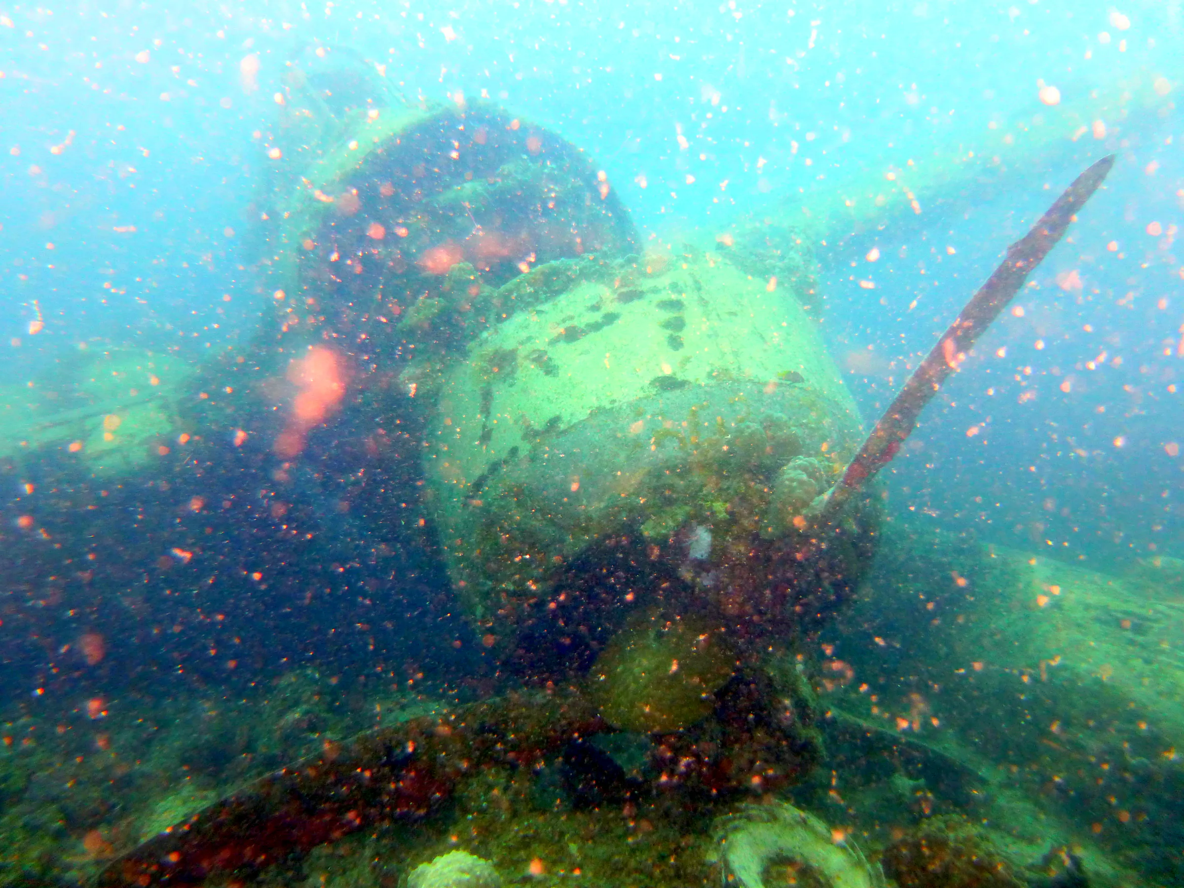 Palau underwater photograph, 2013