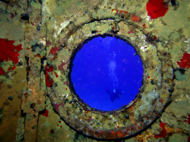 Porthole with diver in the distance.