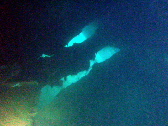 Cargo hold.