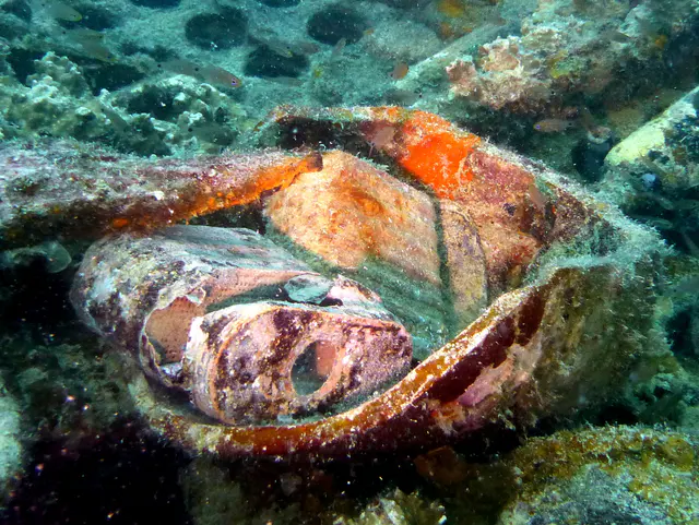 Underwater photograph by Joel Bergsma