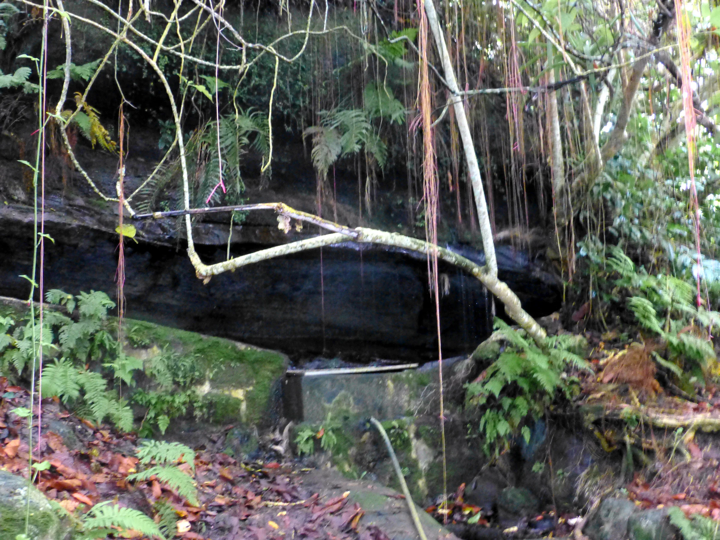 Floreana - Fresh Water Source of Conflict