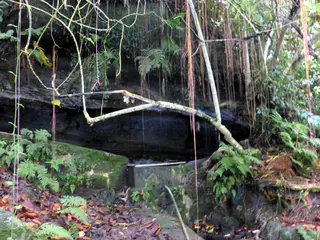 Floreana - Fresh Water Source of Conflict