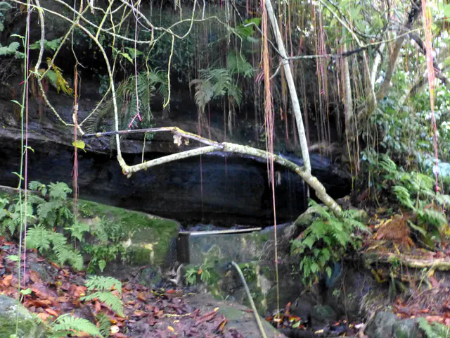 Floreana - Fresh Water Source of Conflict