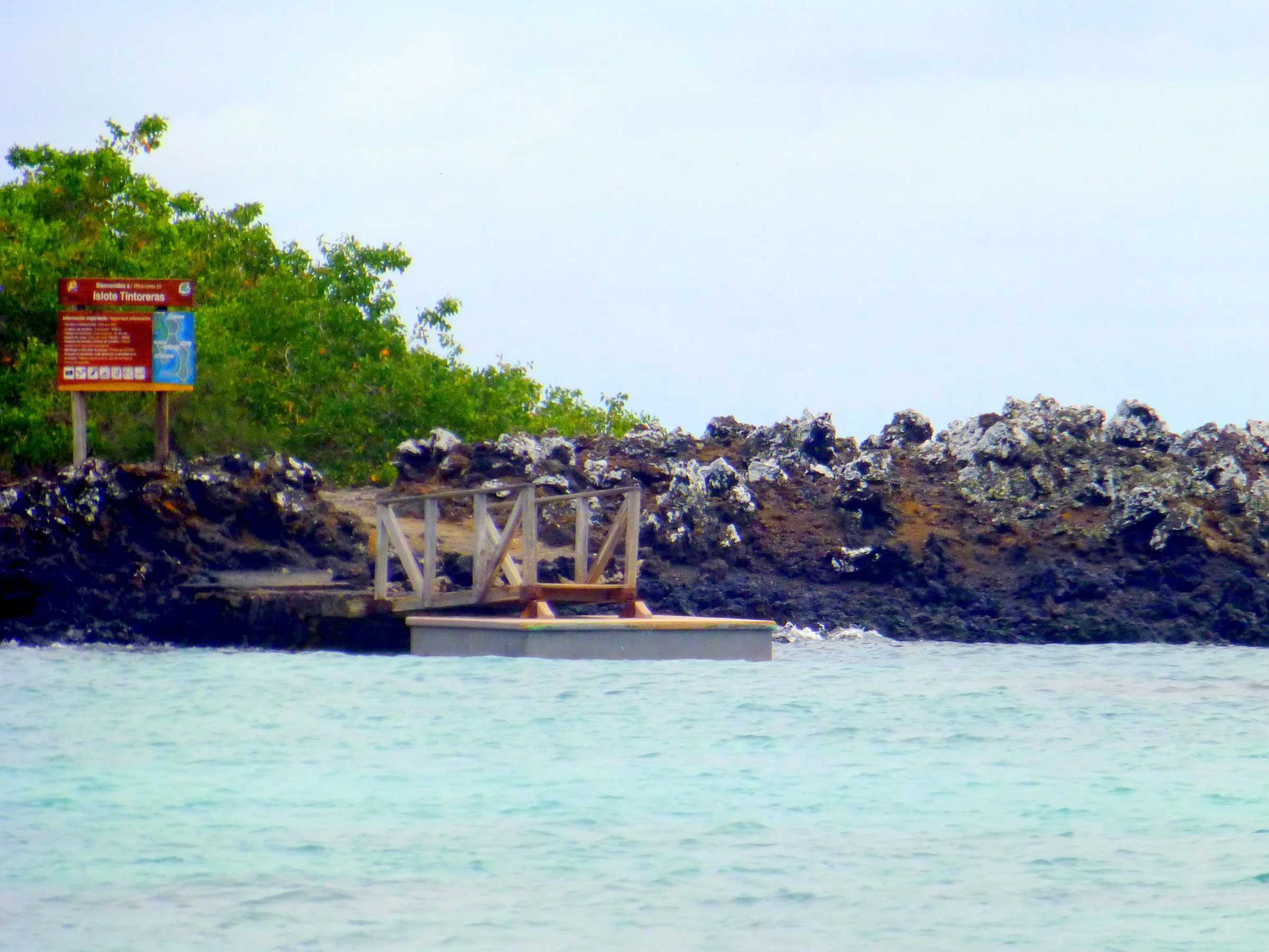 The dock at which we alighted to begin our tour of Islote Los Tintoreras.