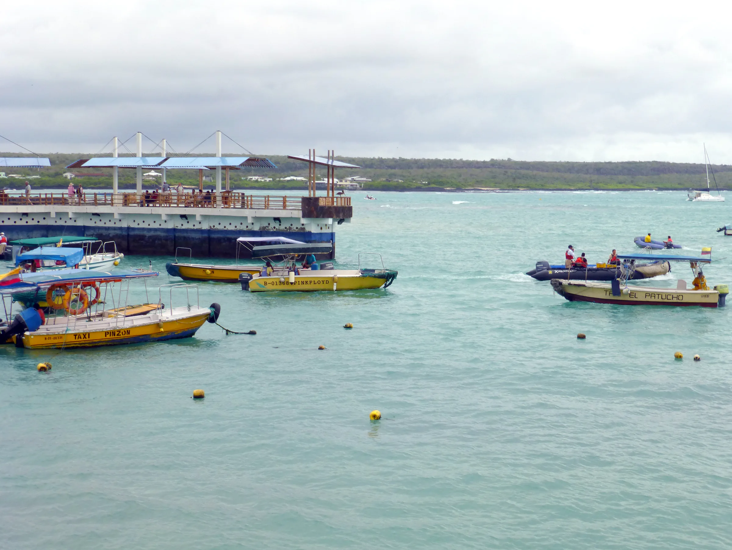 These taxi boats in Puerto Ayora ferry passengers to and from the cruise ships and across a channel separating the town.