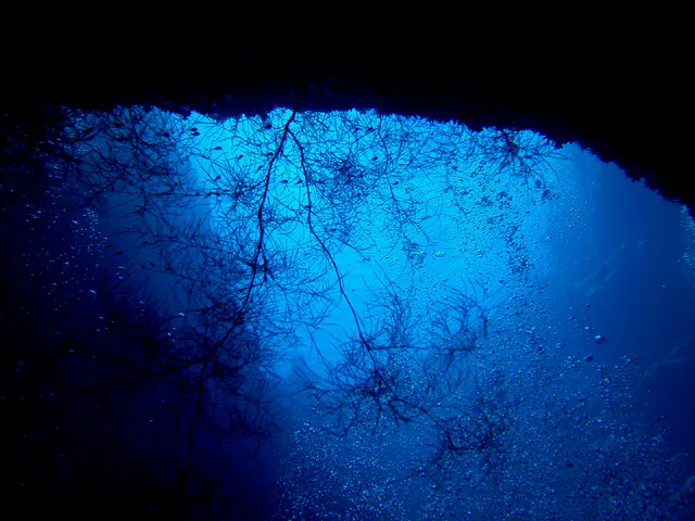 Soft coral growing from the cavern's wall is highlighted in the light from one of the blue holes.