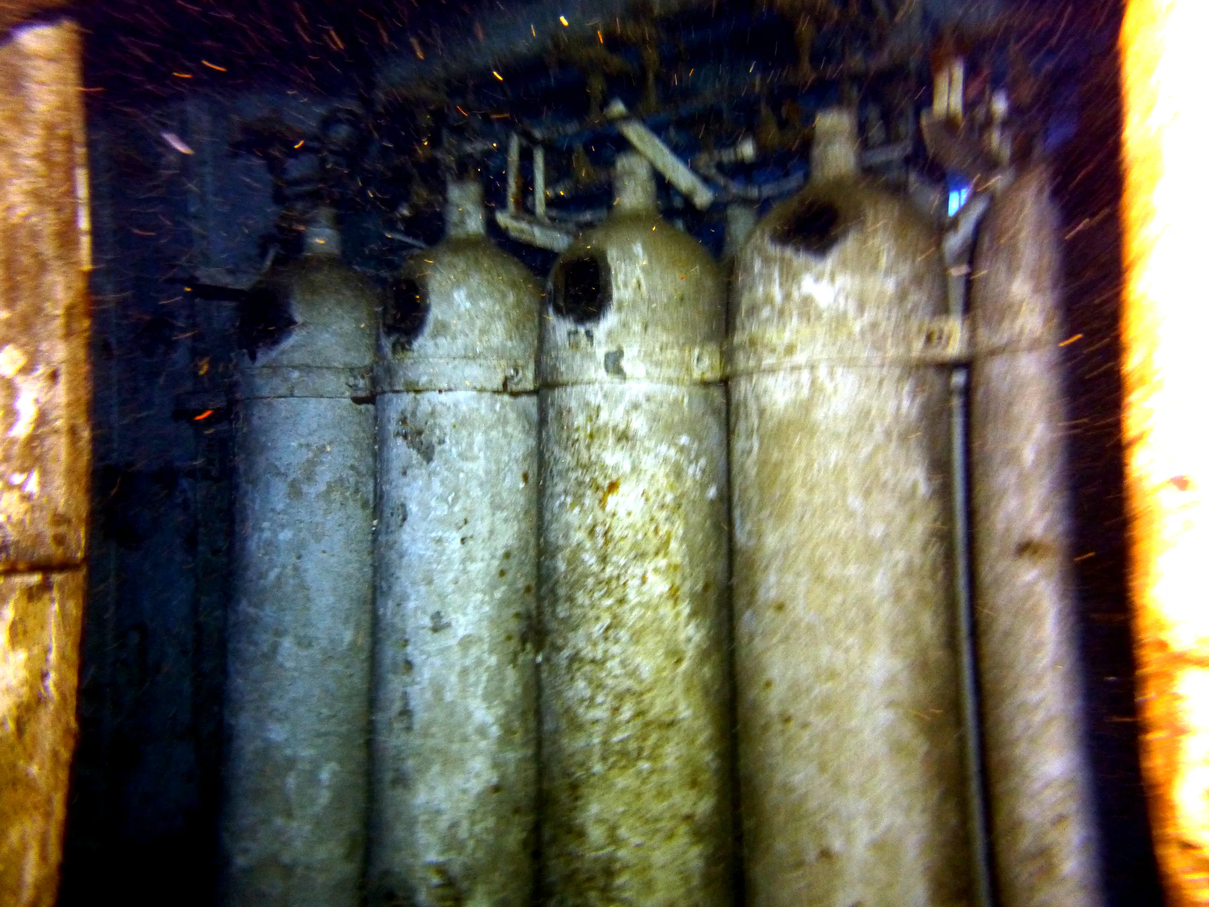 Cayman Islands underwater photograph, 2014