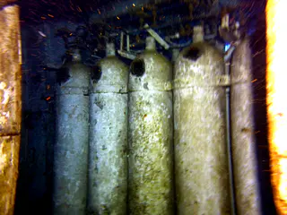 Underwater photograph by Joel Bergsma