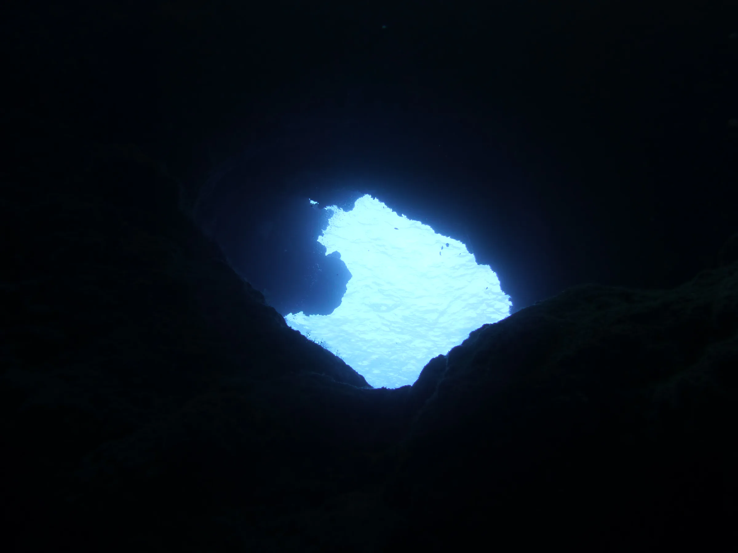 Palau underwater photograph, 2013