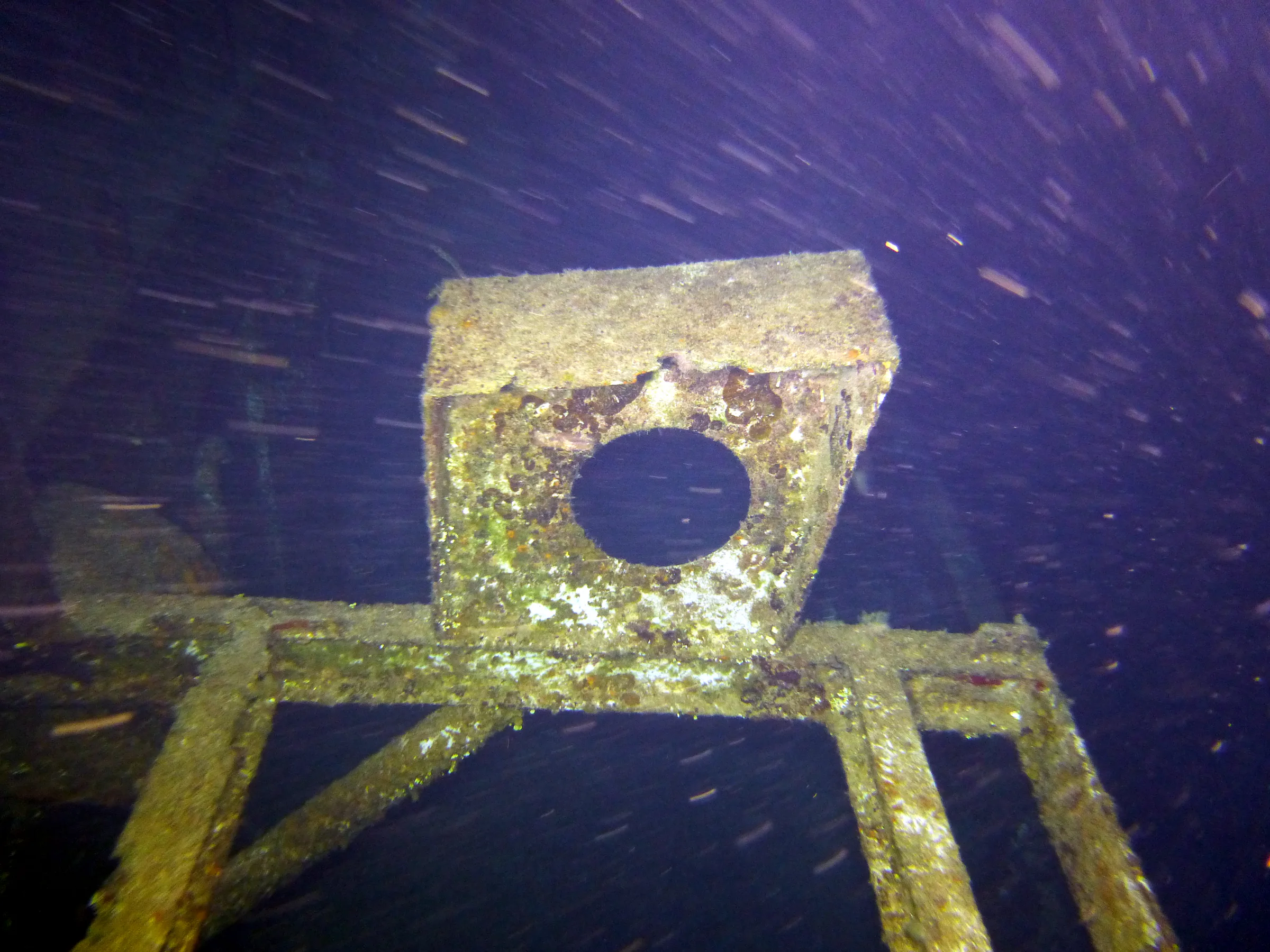 Cayman Islands underwater photograph, 2014