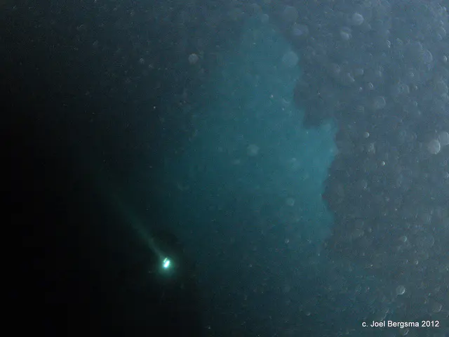 2011-01-14 Chandelier Cave.  The faint light in the background is the cave's entrance.  A diver holds a flashlight.