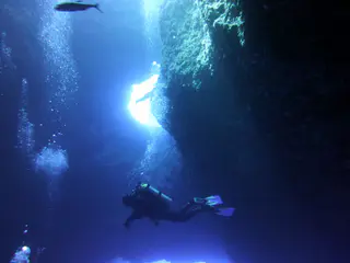 Underwater photograph by Joel Bergsma