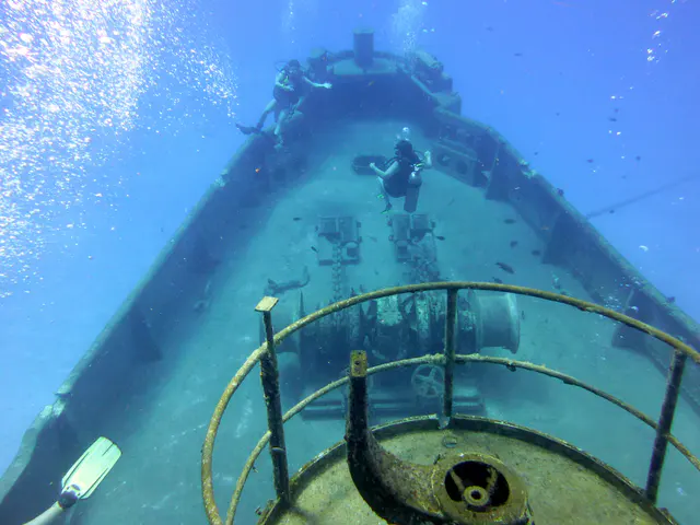 Underwater photograph by Joel Bergsma